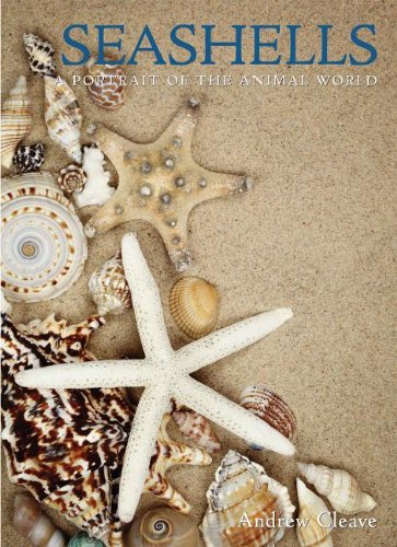 Seashells (A Portrait of the Natural World) (9781597643658) by Cleave, Andrew