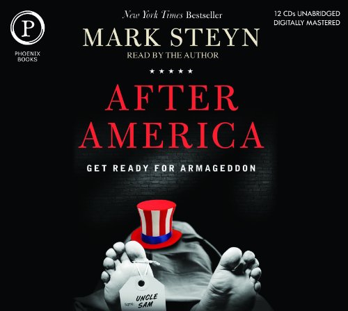 Stock image for After America: The Death of The American Idea for sale by The Yard Sale Store