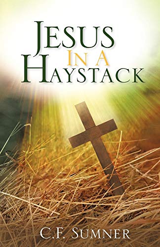 9781597814744: Jesus In A Haystack