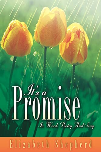9781597816229: It's A Promise