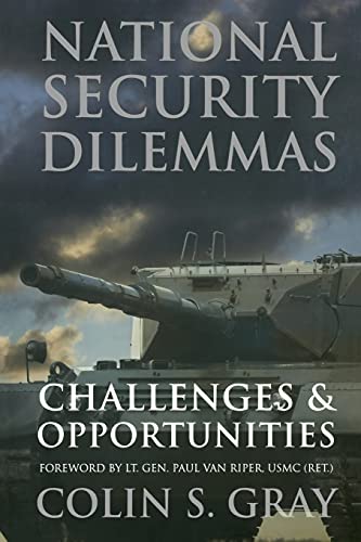 Stock image for National Security Dilemmas : Challenges and Opportunities for sale by Better World Books
