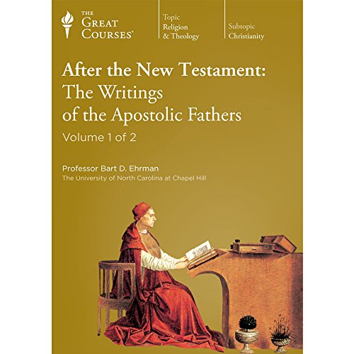 Imagen de archivo de After the New Testament: The Writings of the Apostolic Fathers a la venta por HPB-Red