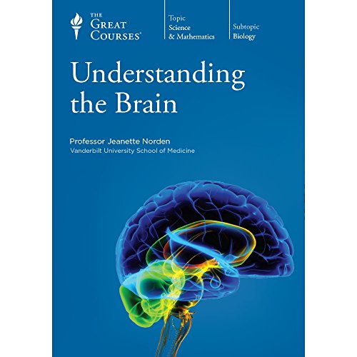 Stock image for Understanding the Brain for sale by BooksRun