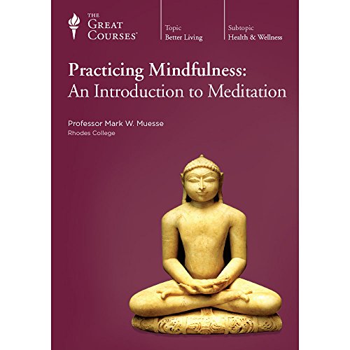 Stock image for Practicing Mindfulness: An Introduction to Meditation for sale by BooksRun