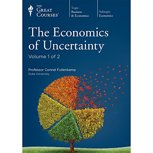 Stock image for The Economics of Uncertainty for sale by HPB Inc.