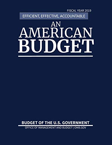 Imagen de archivo de Budget of the United States, Fiscal Year 2019 : Efficient, Effective, Accountable an American Budget a la venta por Better World Books