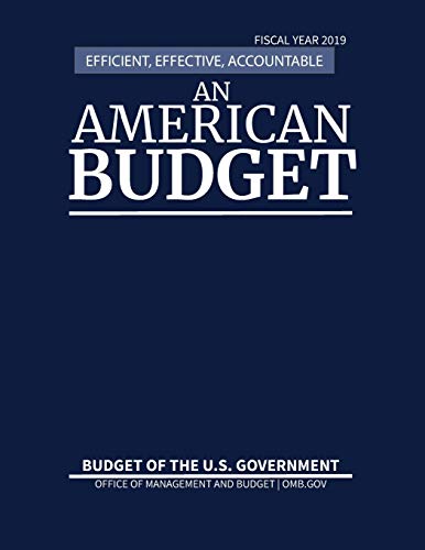 9781598048742: Budget of the U.S. Government Fiscal Year 2019: An American Budget, Efficient, Effective, Accountable: Efficient, Effective, Accountable An American Budget
