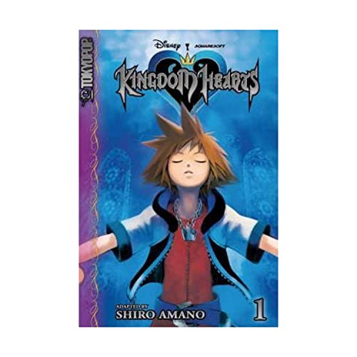 Kingdom Hearts: v. 1 (Kingdom Hearts) (Kingdom Hearts Junior Novels) - Shiro Amano