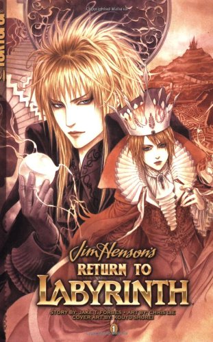 Stock image for Return to Labyrinth Volume 1 (v. 1) for sale by Half Price Books Inc.