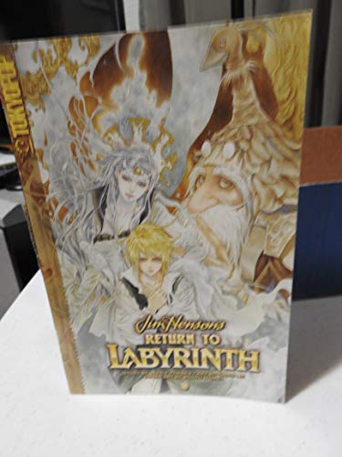 Stock image for Return to Labyrinth Volume 2 (v. 2) for sale by HPB-Ruby