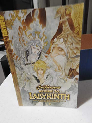 9781598167269: Return to Labyrinth: v. 2