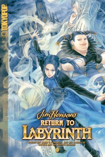 9781598167276: Return to Labyrinth Volume 3