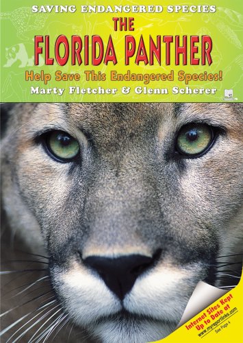 Imagen de archivo de The Florida Panther : Help Save This Endangered Species! a la venta por Better World Books