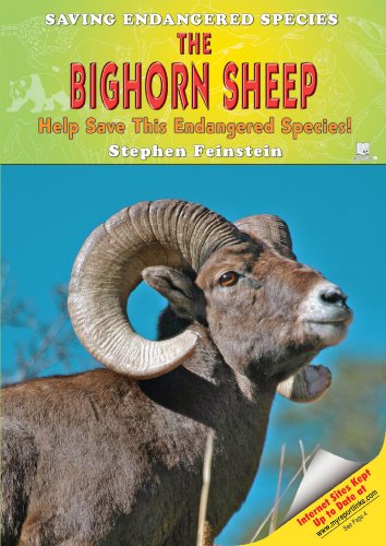 The Bighorn Sheep: Help Save This Endangered Species! (Saving Endangered Species) (9781598450422) by Feinstein, Stephen