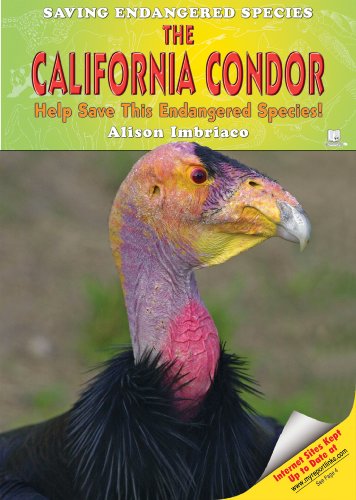 Imagen de archivo de The California Condor : Help Save This Endangered Species! a la venta por Better World Books: West