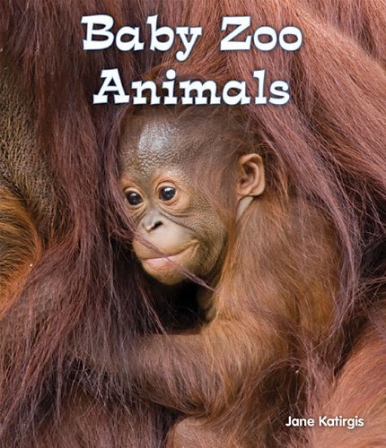 Stock image for Baby Zoo Animals (All About Baby Animals: Guided Reading Level: B) for sale by SecondSale