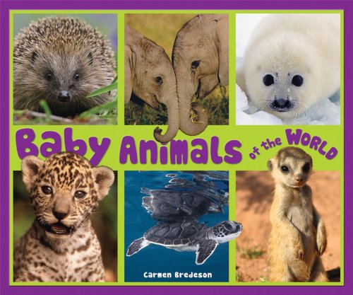 Beispielbild fr Baby Animals of the World (Nature's Baby Animals) zum Verkauf von Wonder Book