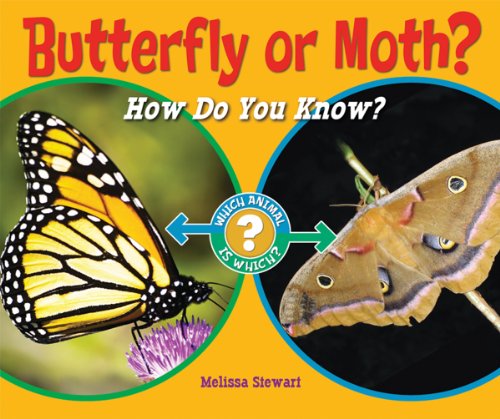 Butterfly or Moth?: How Do You Know? (Which Animal Is Which?) (9781598452358) by Stewart, Melissa