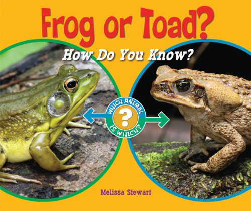 Imagen de archivo de Frog or Toad?: How Do You Know? (Which Animal Is Which?) a la venta por More Than Words