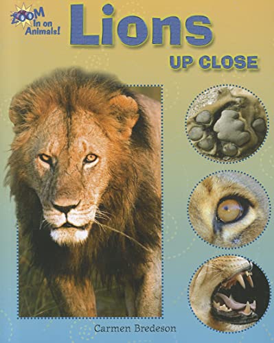 Lions Up Close (Zoom in on Animals!) (9781598454178) by Bredeson, Carmen