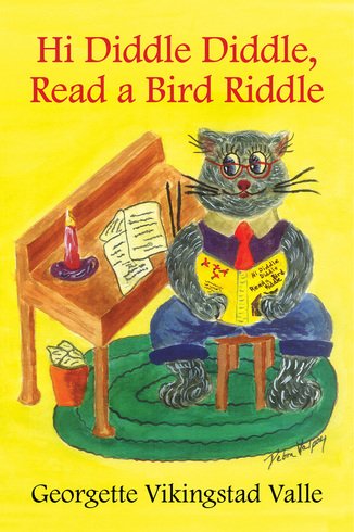 9781598491982: Hi Diddle Diddle, Read a Bird Riddle