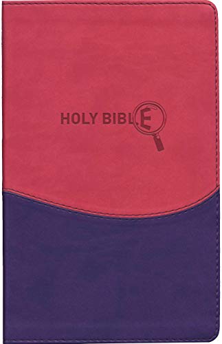 9781598565133: Kids Study Bible, New Revised Standard Version