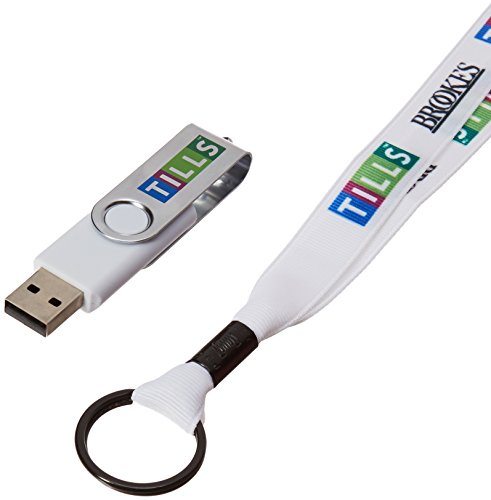 Stock image for Test of Integrated Language and Literacy Skills - Tills Usb Drive: Usb Drive for sale by Revaluation Books
