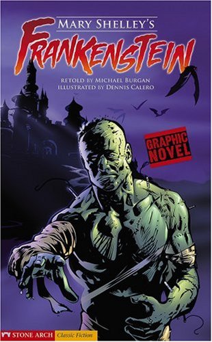 Stock image for Frankenstein : A Graphic Novel for sale by Better World Books