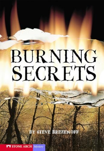 Imagen de archivo de Burning Secrets a la venta por Better World Books