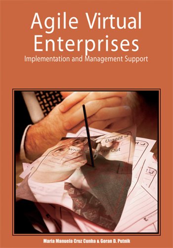 Beispielbild fr Agile Virtual Enterprises: Implemetation and Management Support zum Verkauf von Romtrade Corp.
