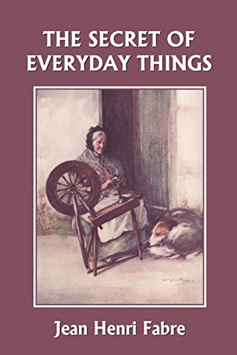 Stock image for The Secret of Everyday Things (Yesterday's Classics) for sale by Chiron Media