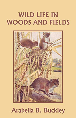 9781599152714: Wild Life in Woods and Fields