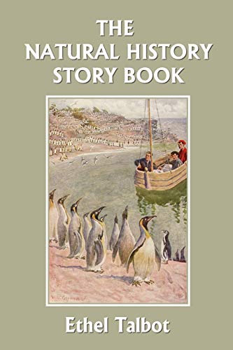 9781599152950: The Natural History Story Book (Yesterday's Classics)
