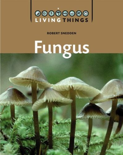 Beispielbild fr Fungi zum Verkauf von Better World Books