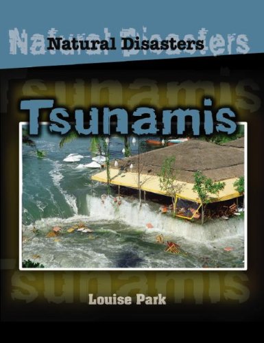 9781599201153: Tsunamis (Natural Disasters)