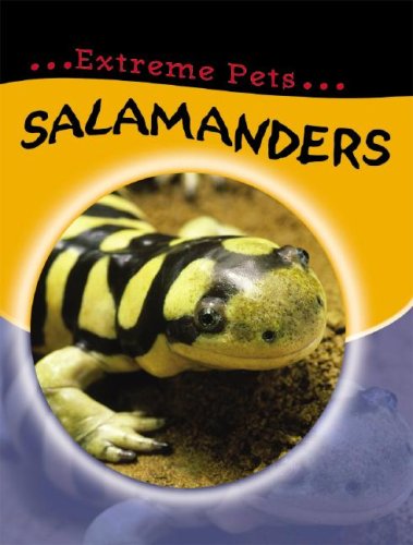 9781599202358: Salamanders (Extreme Pets)
