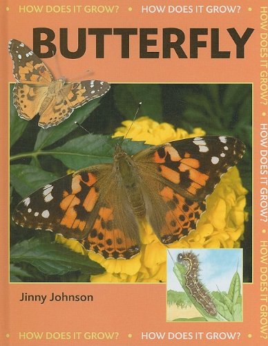 9781599203522: Butterfly (How Does It Grow?)