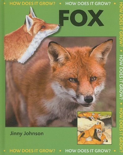 9781599203546: Fox (How Does It Grow?)