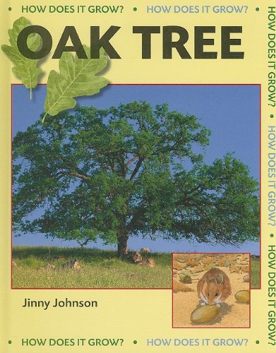9781599203560: Oak Tree (How Does It Grow?)