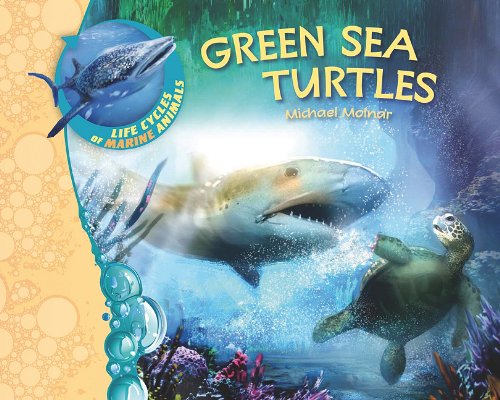 9781599204864: Green Sea Turtles (Life Cycles of Marine Animals)