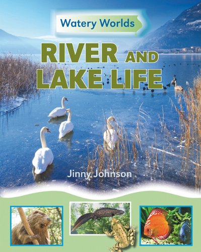 River and Lake Life (Watery Worlds) (9781599205069) by Johnson, Jinny