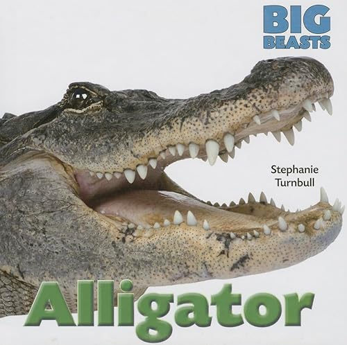 Alligator (Big Beasts (Smart Apple)) (9781599208312) by Turnbull, Stephanie