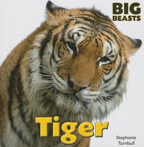 9781599208374: Tiger (Big Beasts)