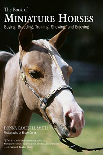 Stock image for "The Book of Miniature Horses: Buying, Breeding, Training, Showing, an for sale by Hawking Books