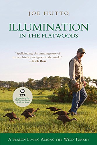 9781599211978: Illumination in the Flatwoods: A Season With the Wild Turkey