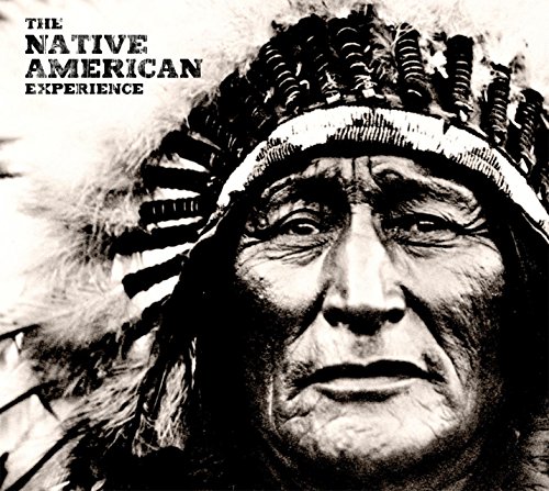 Stock image for The Native American Experience for sale by Better World Books