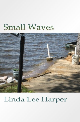 9781599245201: Small Waves