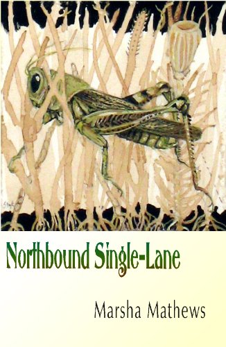 Northbound Single-Lane