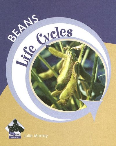 9781599287027: Beans (Life Cycles)