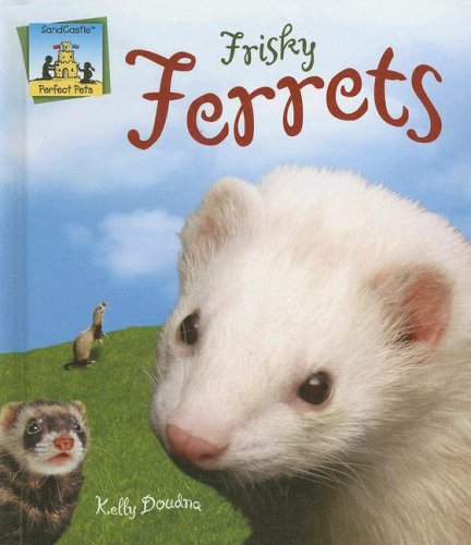 Imagen de archivo de Frisky Ferrets (Perfect Pets) a la venta por Gulf Coast Books